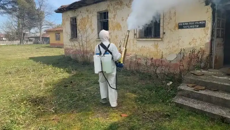Çiftçilerin Kahverengi Kokarca Seferberliği: Zararı Önlemek İçin Neler Yapılıyor?