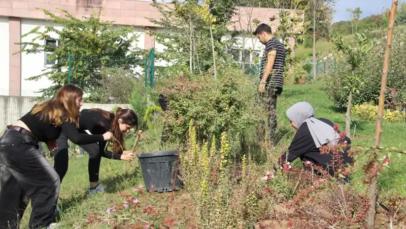 Düzce’nin Köklü Geleneği Dünyaya Açılıyor: Hayaldi, Gerçek Oldu!
