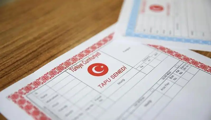 100 Milyonluk Çark Deşifre Oldu: Hisseli Tapu Yalanıyla Kurulan Tuzak