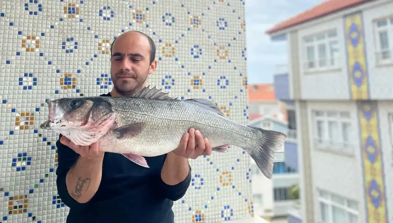 İzmir’de 7,5 Kiloluk Dev Levrek Avlandı: Balıkçılar Şaşkın!