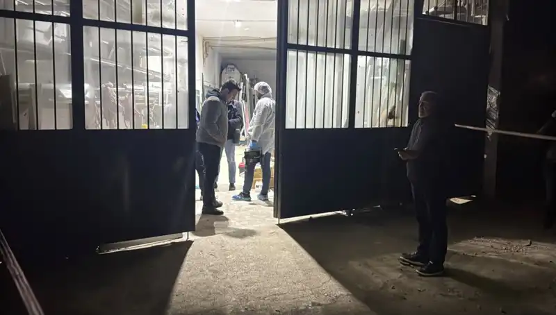 İş Yerinde Korkunç Cinayet: Battaniyeyle Örtülen Gerçekler Ortaya Çıkıyor
