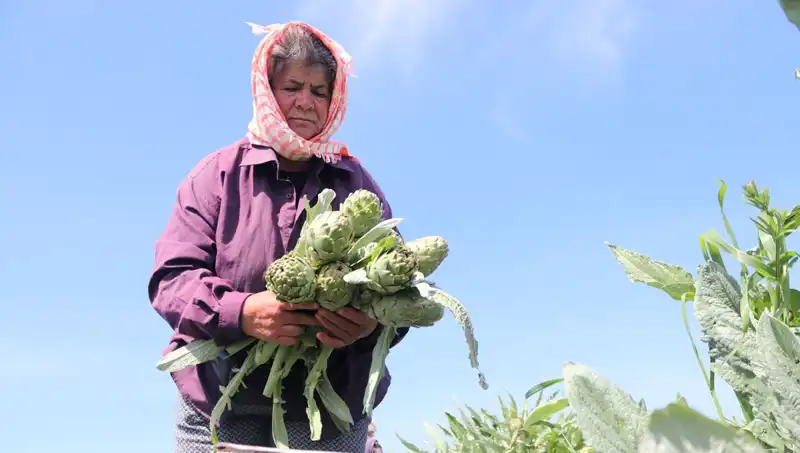 Tarladan Sofralara: 50 TL'lik Lezzetin Arkasında Yatan Gerçekler