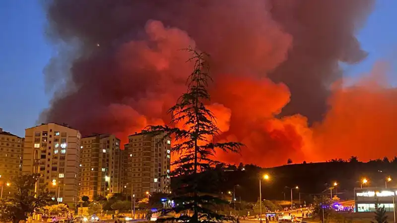 Bursa’da Yangın Korkusu: Şehirdeki Alevler Hızla Yayılıyor