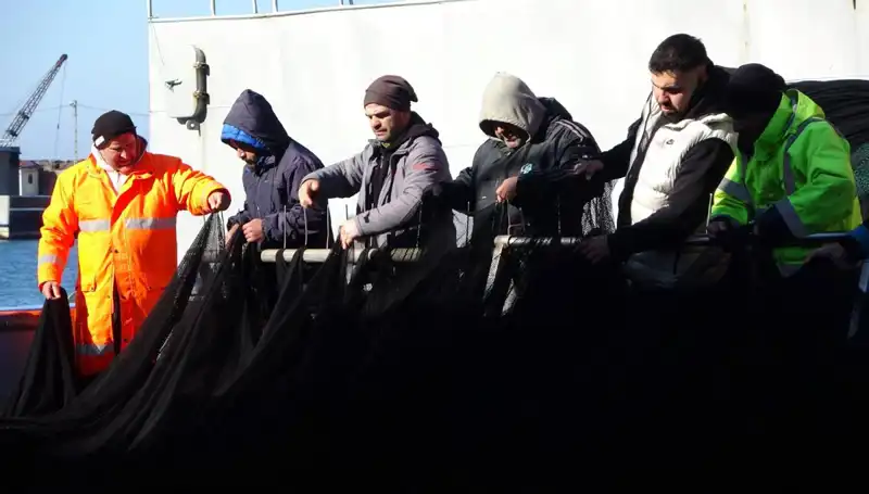 Bu Kış Hamsi Avı Olmayabilir: Balıkçılar Erken Terk Ediyor