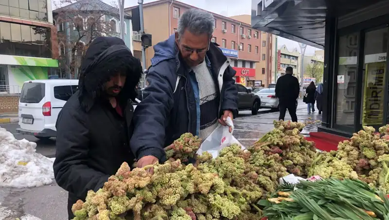 Kendiliğinden Yetişen Süper Gıda: Kanserin Yeni İlaç Adayı mı?