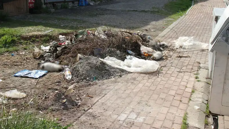 Antalya'da 10 Kedi Ölü Bulundu: Hayvanların Ölümüne Sebep Olan Sır Perdesi Aralanıyor