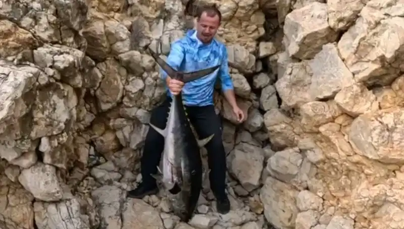 Saros’ta 30 Kiloluk Dev Balık Oltaya Takıldı, Balıkçılar Şaşkına Döndü!