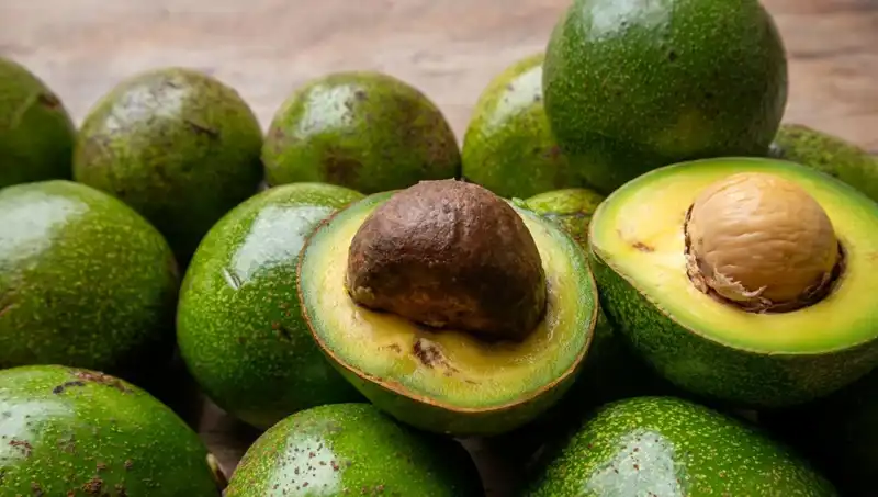 Avokado Çekirdeği: Çöpe Atmamız Gereken Son Parça mı?