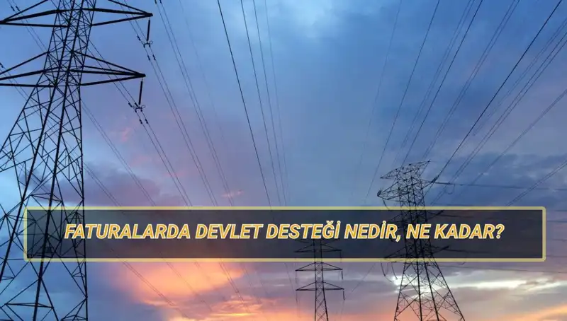 2025’te Devlet Desteğiyle Fatura Ödemeleri: Doğalgaz ve Elektrik Yardımları Nasıl Alınacak?