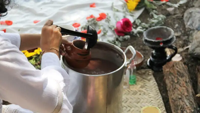 Ayahuasca: Gizemli Şifa İçin Yasak mı, Özgürlük mü?