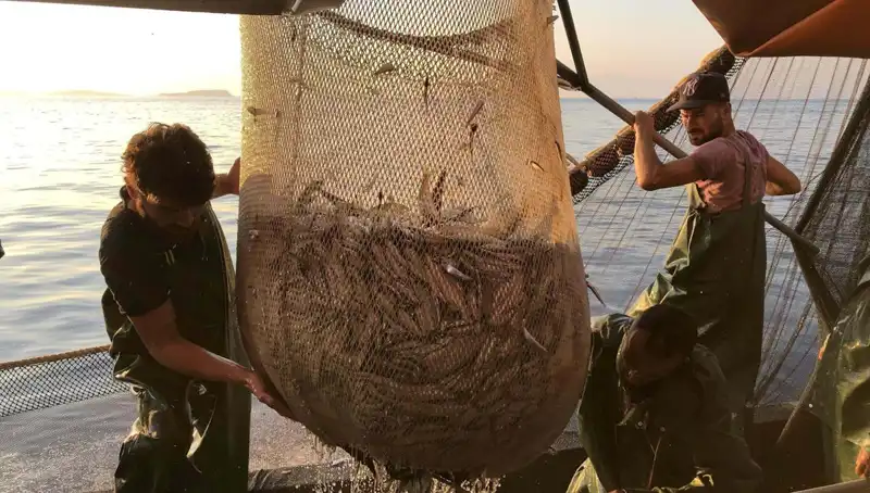 Balıkçılar Paydos Ediyor: İhlal Edenlere Uygulanan Ağır Ceza