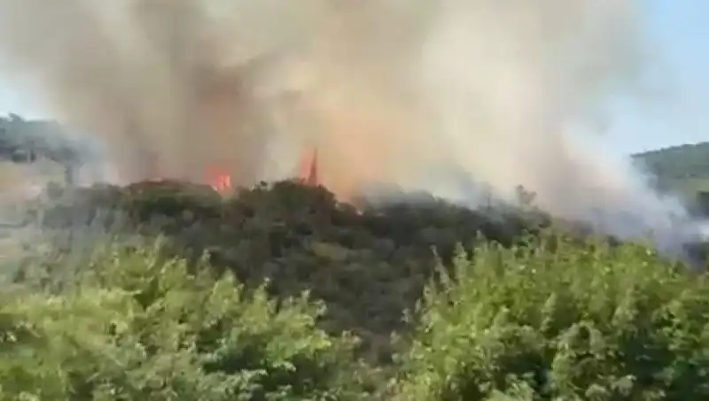 İstanbul'da Orman Yangını: Vatandaşlar Tahliye Edildi, Tehlike Büyüyor!